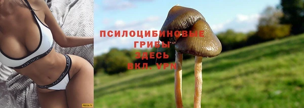 метадон Надым