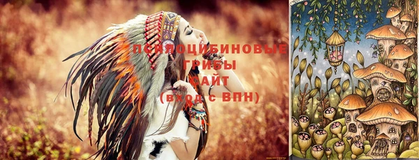 гидра Навашино
