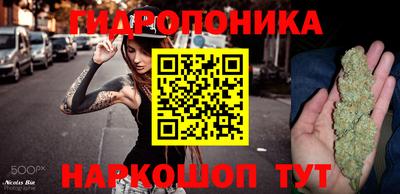 трава Берёзовский