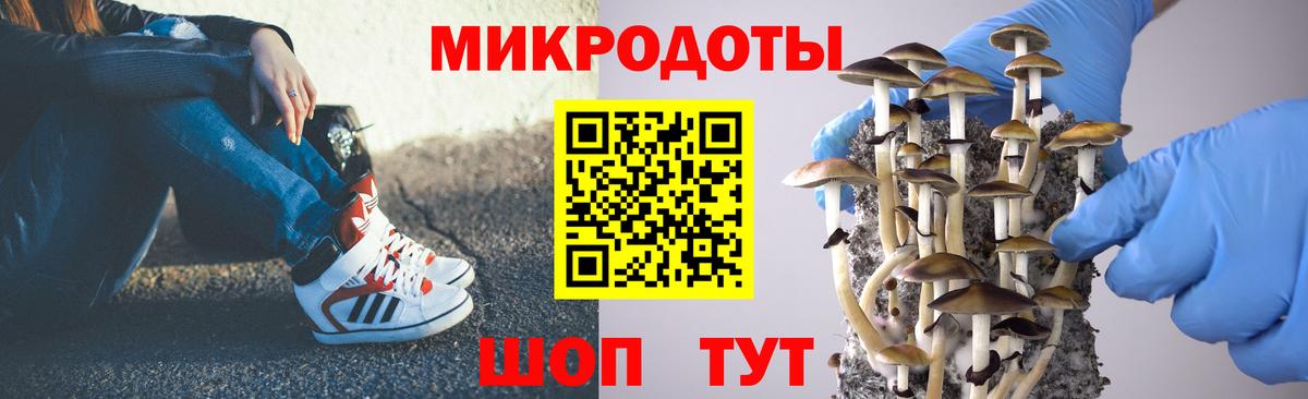 Псилоцибиновые грибы мухоморы  Вход с VPN  Галлюциногенные грибы MAGIC MUSHROOMS  дарнет шоп  Черногорск 